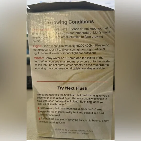 Lion's Mane Mushroom Grow Kit - Picture 3 of 5